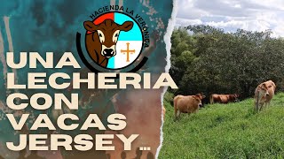 UNA LECHERIA CON VACAS JERSEY [upl. by Revolc]