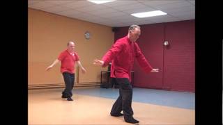 Taiji qigong Shibashi [upl. by Yhtir669]