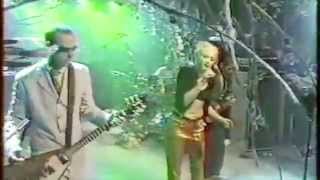 No Doubt  quotTragic Kingdomquot Live on MuchMusic Intimate and Interactive 5131997 [upl. by Domenico387]