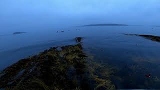 Sea Duck Hunting Maine Mixed Bag [upl. by Lemahs422]