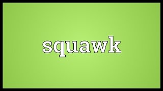 Squawk Meaning [upl. by Seleta913]