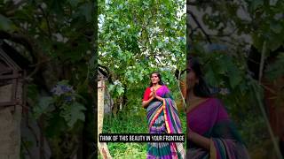 Solanum indicum for sale athmanilayam brinjal tree plants keralagarden [upl. by Nennek]