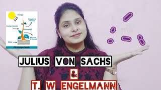 Engelmann amp Julius von Sachs Photosynthesis experiment  EASY WAY  NEET  CBSE 11 [upl. by Christa147]