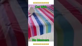 Mannerless Cat 😡 🤣 shorts funny funnyanimals pets funnypets [upl. by Ramirolg309]