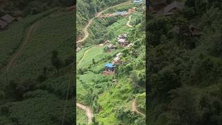 Agricultural farming in Nepal Goat farming in Nepal [upl. by Ayo]