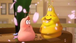 LARVA  DIET  Videos For Kids  LARVA Full Episodes [upl. by Broddy]