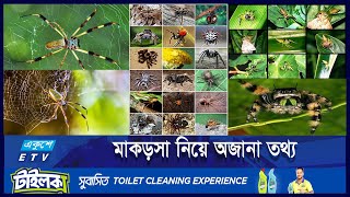 মাকড়সার আশ্চর্য জগৎ দেহ গঠন জাল বোনা ও শিকার কৌশল  ETV Lifestyle [upl. by Adoc]