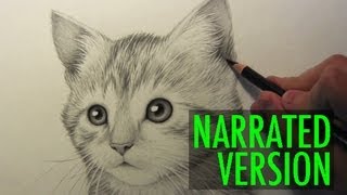 How to Draw a Kitten Narrated Step by Step [upl. by Darwin]