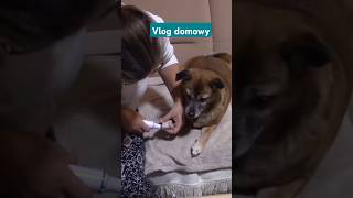 vlog ☕️🍰⏰️🐕‍🦺🤗 domowy u ilonciaLu [upl. by Nilyad467]