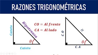 Cateto Opuesto cateto adyacente e hipotenusa  Ubicar correctamente [upl. by Llerdna]