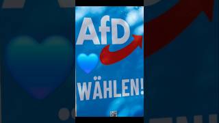 Politik wirklichkeit wahlen [upl. by Kathy]