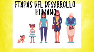 Etapas del desarrollo humano  video educativo [upl. by Neliak]