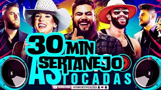 30 MINUTOS DE SERTANEJO  OS MELHORES SERTANEJO 2024 [upl. by Adelaida]