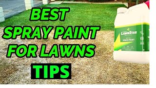 The BEST SPRAY PAINT for LAWNS Green Grass Paint Sprayer 2021 [upl. by Norehc]