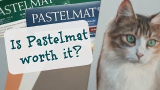 Clairefontaine Pastelmat  Properties amp Techniques Mini Review [upl. by Sulihpoeht841]