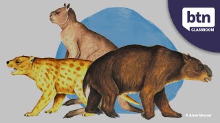 Extinction of Australias Megafauna  Behind the News [upl. by Pollak]