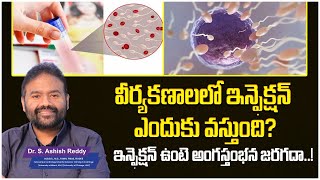 How to Cure Sperm Infection  Sperm Infection Symptoms in Telugu  Andro9 Andrology Hospitals [upl. by Teodoro333]