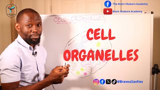 The CELL ORGANELLES Components within the CELL Cytoplasm [upl. by Etselec]