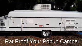 How to Rat Proof Your Pop Up Camper [upl. by Yelkao]