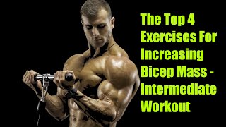 The Top 4 Exercises For Increasing Bicep Mass  Intermediate Workout [upl. by Surbeck682]