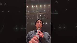 Who’s that hautbois playing oboe music shortsvideo [upl. by Yatnuhs977]