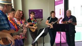 Northern Ireland Hospices Ukulele band plays Olly Murs Dance With Me Tonight [upl. by Pega]