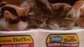 Friskies Buffet Commercial [upl. by Anaytat]