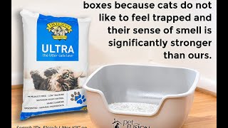 Review Dr Elseys Ultra Premium Clumping Cat Litter [upl. by Fornof]