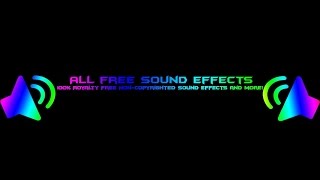 Heartbeat Flatline Sound Effect FREE DOWNLOAD [upl. by Adil]