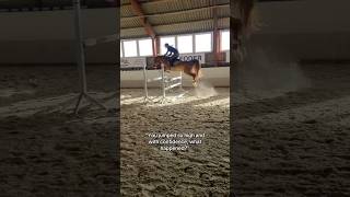 Keep going 🔥❤️‍🔥 equestrian horse horses pony pferde cheval hest trending funny hest [upl. by Marlyn]