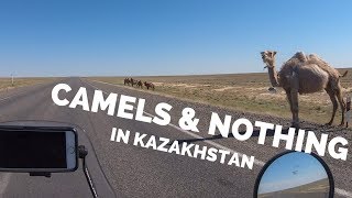 S1  Eps 89 CAMELS amp NOTHING in Kazakhstan [upl. by Eimat]