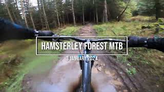 Hamsterley Forest North East of England  MTB  4K [upl. by Ahsiener]