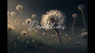 Ruth B Dandelions male cover music cover acoustic malecover pop [upl. by Neala27]