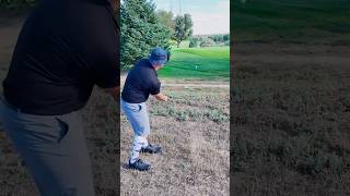 A Tough Chip Shot Turns Into Pure Chaos shorts golf [upl. by Aedrahs]