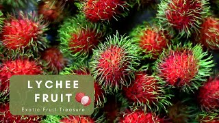 Lychee An Exotic Fruit Treasure with Rich Origins [upl. by Nilre720]