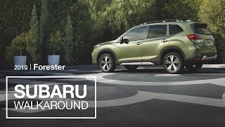 The 2019 Subaru Forester SUV  Model Walkaround [upl. by Brodsky]