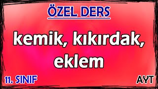 13 Destek ve Hareket Sistemi 1  Kemik  Kıkırdak  Eklem  Özel Ders 11 Sınıf [upl. by Enyr]