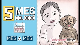 📆👶🏻 QUINTO MES del bebé  5 MES  Desarrollo y cuidados [upl. by Ellenej]