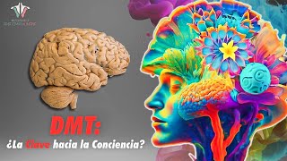 El Potencial Profundo del DMT [upl. by Itsym]