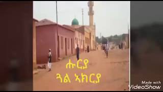 eritrean music krar fgra huruya gal akrya [upl. by Arekahs]