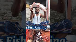 Amazing Great Delicious Pangas Fish Cutting Techniques  Fish Cutting Skills [upl. by Licna345]