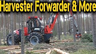 Nisula N5 Harvester  FinnMETKO 2016 [upl. by Euqinomad]