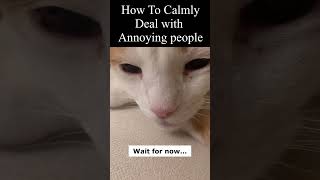 How to Calmly Deal With Annoying People [upl. by Yemerej]