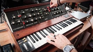 My Incredible 1972 Minimoog In Action [upl. by Penelopa]