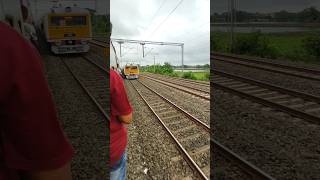 Through local trainshorts shortvideo train [upl. by Llekcm]