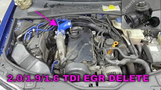 How To DO EGR DELETE On Any 201916 Tdi Engine ECU SOFT [upl. by Runck]