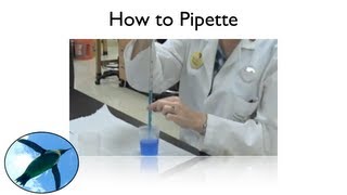 How to Pipette OLD VERSION  See Description Box for Update [upl. by Nnyrat]