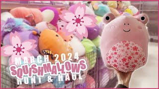 🌸 SPRING 🌸 SQUISHMALLOW HUNTING in Autumn 😅 MARCH PLUSHIE HUNT amp HAUL [upl. by Cattima366]