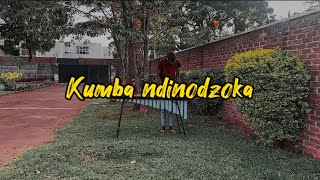 Freeman HKD ft Jah Prayzah Kumba Ndinodzoka Marimba Cover day 308 [upl. by Raddatz]