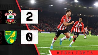 90SECOND HIGHLIGHTS Southampton 20 Norwich City  Premier League [upl. by Luciana]